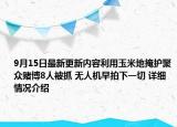 9月15日最新更新内容利用玉米地掩护聚众赌博8人被抓 无人机早拍下一切 详细情况介绍