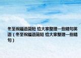 冬至祝福语简短 给大家整理一些精句英语（冬至祝福语简短 给大家整理一些精句）
