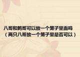 八哥和鹩哥可以放一个笼子里面吗（两只八哥放一个笼子里是否可以）