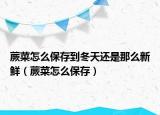 蕨菜怎么保存到冬天还是那么新鲜（蕨菜怎么保存）