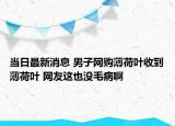 当日最新消息 男子网购薄荷叶收到薄荷叶 网友这也没毛病啊