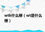 wtk什么梗（wt是什么梗）
