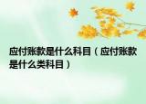应付账款是什么科目（应付账款是什么类科目）