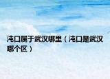 沌口属于武汉哪里（沌口是武汉哪个区）