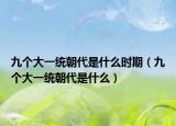 九个大一统朝代是什么时期（九个大一统朝代是什么）