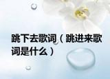 跳下去歌词（跳进来歌词是什么）