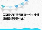 公司登记注册号是哪一个（企业注册登记号是什么）
