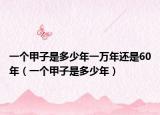 一个甲子是多少年一万年还是60年（一个甲子是多少年）