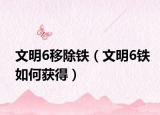 文明6移除铁（文明6铁如何获得）