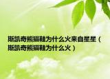 斯凯奇熊猫鞋为什么火来自星星（斯凯奇熊猫鞋为什么火）