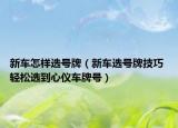 新车怎样选号牌（新车选号牌技巧 轻松选到心仪车牌号）