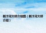 新汴河大桥介绍图（新汴河大桥介绍）