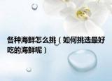 各种海鲜怎么挑（如何挑选最好吃的海鲜呢）