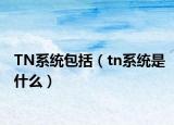 TN系统包括（tn系统是什么）