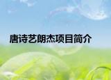唐诗艺朗杰项目简介