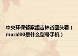 中央环保督察组吉林省回头看（maral00是什么型号手机）