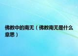 佛教中的南无（佛教南无是什么意思）