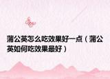蒲公英怎么吃效果好一点（蒲公英如何吃效果最好）