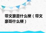 带文豪是什么梗（带文豪哥什么梗）
