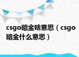csgo暗金啥意思（csgo暗金什么意思）