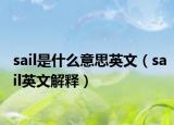 sail是什么意思英文（sail英文解释）