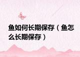 鱼如何长期保存（鱼怎么长期保存）
