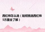 西红柿怎么选（如何挑选西红柿 5方面全了解）