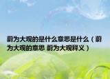 蔚为大观的是什么意思是什么（蔚为大观的意思 蔚为大观释义）