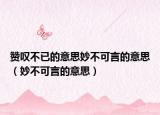 赞叹不已的意思妙不可言的意思（妙不可言的意思）