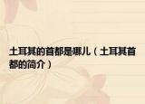 土耳其的首都是哪儿（土耳其首都的简介）