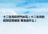 十二生肖旺财气的花（十二生肖的旺财花有哪些 寓意是什么）