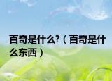 百奇是什么?（百奇是什么东西）