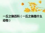 一丘之貉百科（一丘之貉是什么动物）