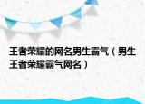 王者荣耀的网名男生霸气（男生王者荣耀霸气网名）