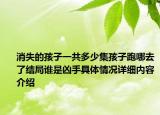 消失的孩子一共多少集孩子跑哪去了结局谁是凶手具体情况详细内容介绍