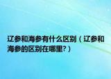 辽参和海参有什么区别（辽参和海参的区别在哪里?）