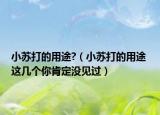 小苏打的用途?（小苏打的用途 这几个你肯定没见过）