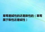 草莓是碱性的还是酸性的（草莓属于酸性还是碱性）