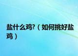 盐什么鸡?（如何挑好盐鸡）