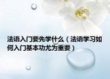 法语入门要先学什么（法语学习如何入门基本功尤为重要）
