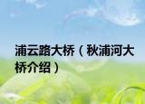 浦云路大桥（秋浦河大桥介绍）