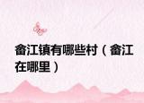 畲江镇有哪些村（畲江在哪里）