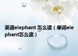 英语elephant 怎么读（单词elephant怎么读）