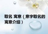 取名 寓意（意字取名的寓意介绍）