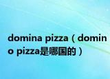 domina pizza（domino pizza是哪国的）