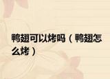 鸭翅可以烤吗（鸭翅怎么烤）