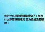 鱼为什么是睁着眼睛睡觉了（鱼为什么睁着眼睛睡觉 因为鱼是没有眼睑）