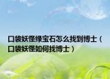 口袋妖怪绿宝石怎么找到博士（口袋妖怪如何找博士）
