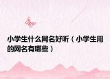 小学生什么网名好听（小学生用的网名有哪些）