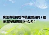 魏振海电视剧20集主要演员（魏振海的电视剧叫什么名）